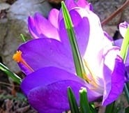 Wut Frust Verletzung Enttäuschung überwinden